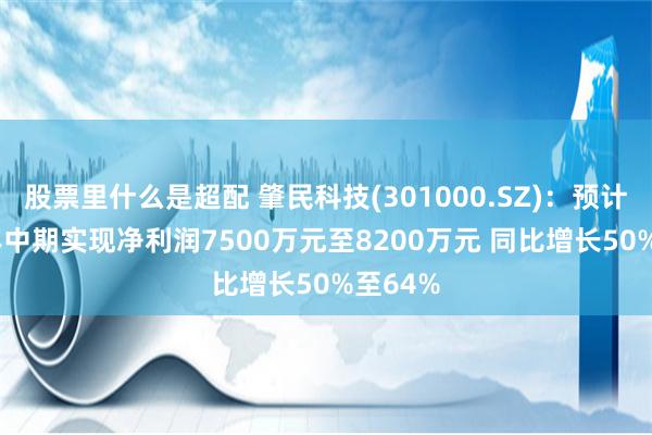 股票里什么是超配 肇民科技(301000.SZ)：预计2024年中期实现净利润7500万元至8200万元 同比增长50%至64%