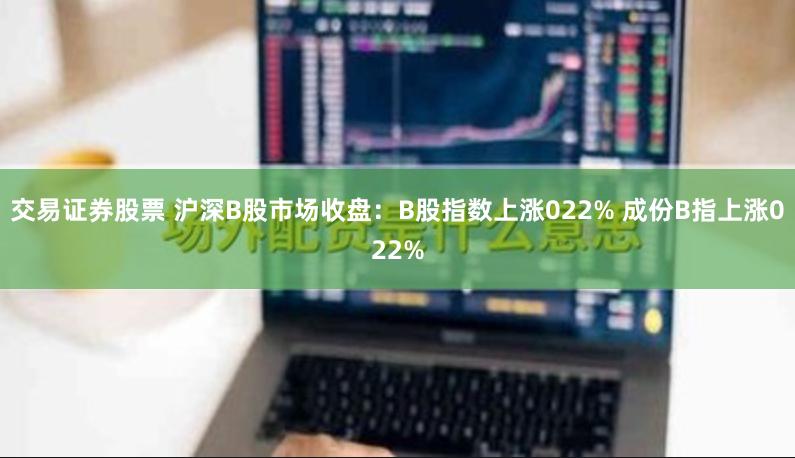 交易证券股票 沪深B股市场收盘：B股指数上涨022% 成份B指上涨022%